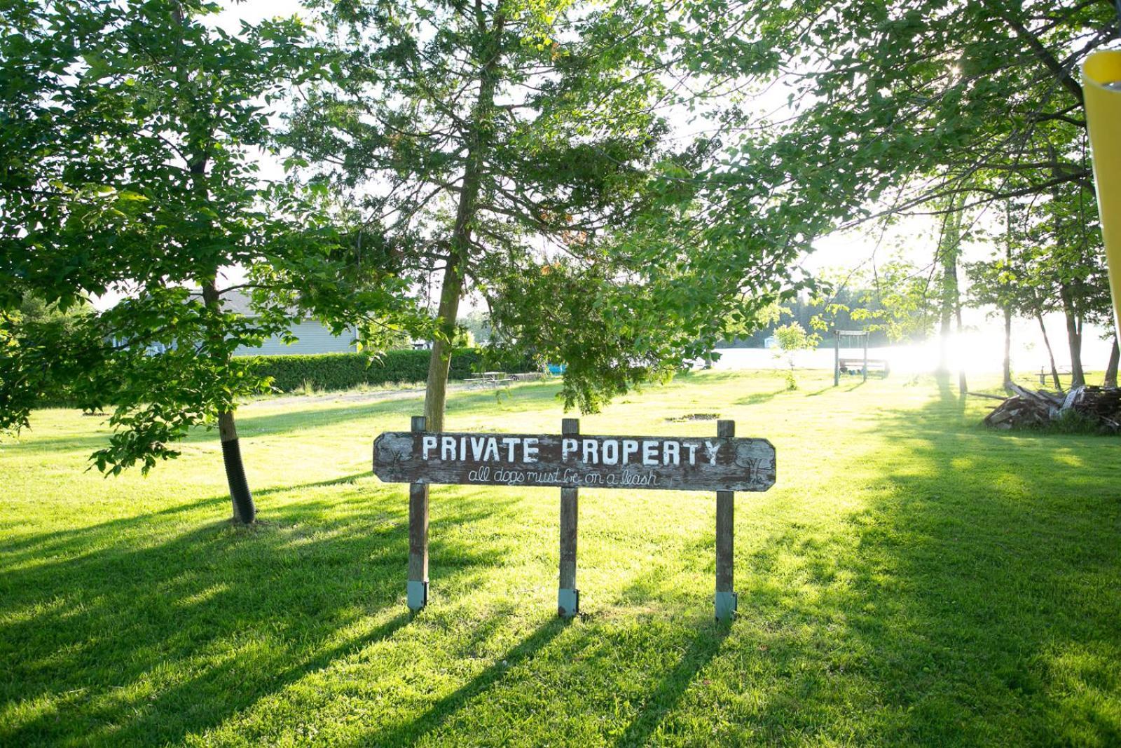 Fun Place With A Sandy Beach For Swimming, Boating, And Fishing, Featuring 3 Available Cabins Fenelon Falls Экстерьер фото